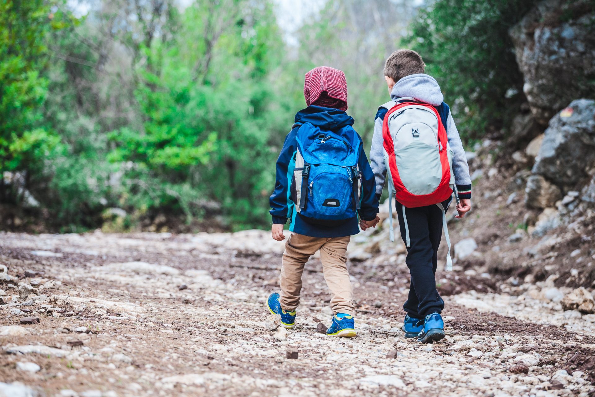 Two boys with backpacks are walking along a forest path. The brothers walk together in the park. Two friends go holding hands. Little travelers. Children spend time in nature.