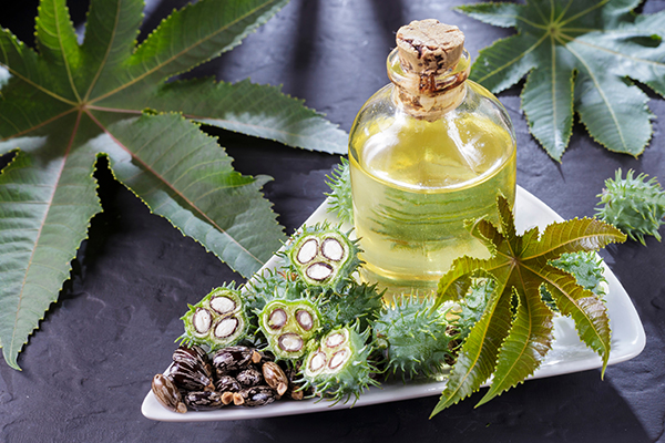 Ricinus növény és olaj