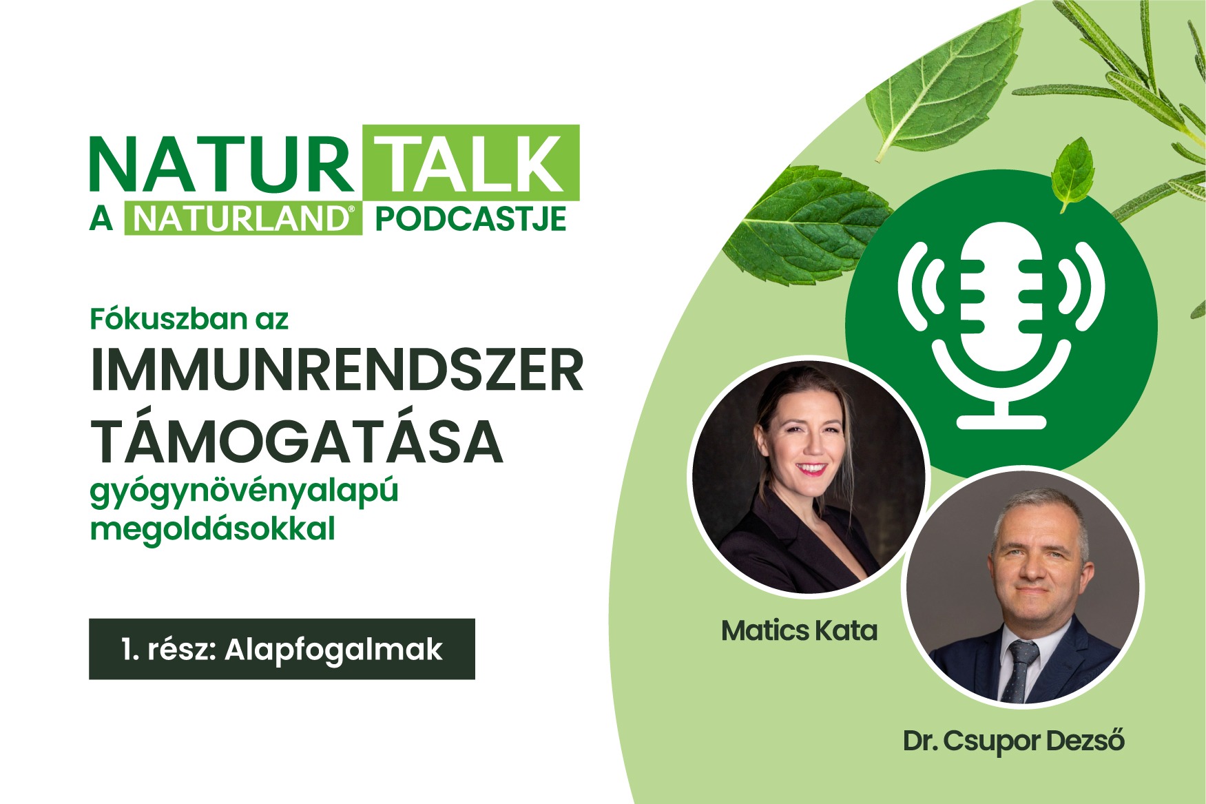 NaturTalk, immunrendszer, alapfogalmak, podcast