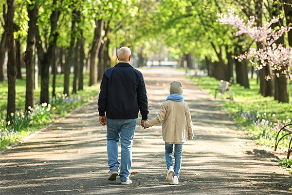 vitaminok, immunrendszer, 50 felett, vitacolan senior